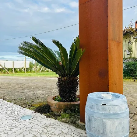 Fondo Marsiglia 110 B&B 리도 디 스피나