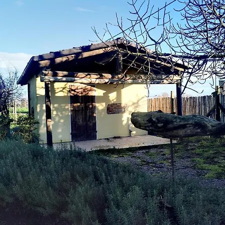 Alojamento de Acomodação e Pequeno-almoço Fondo Marsiglia 110 Lido di Spina